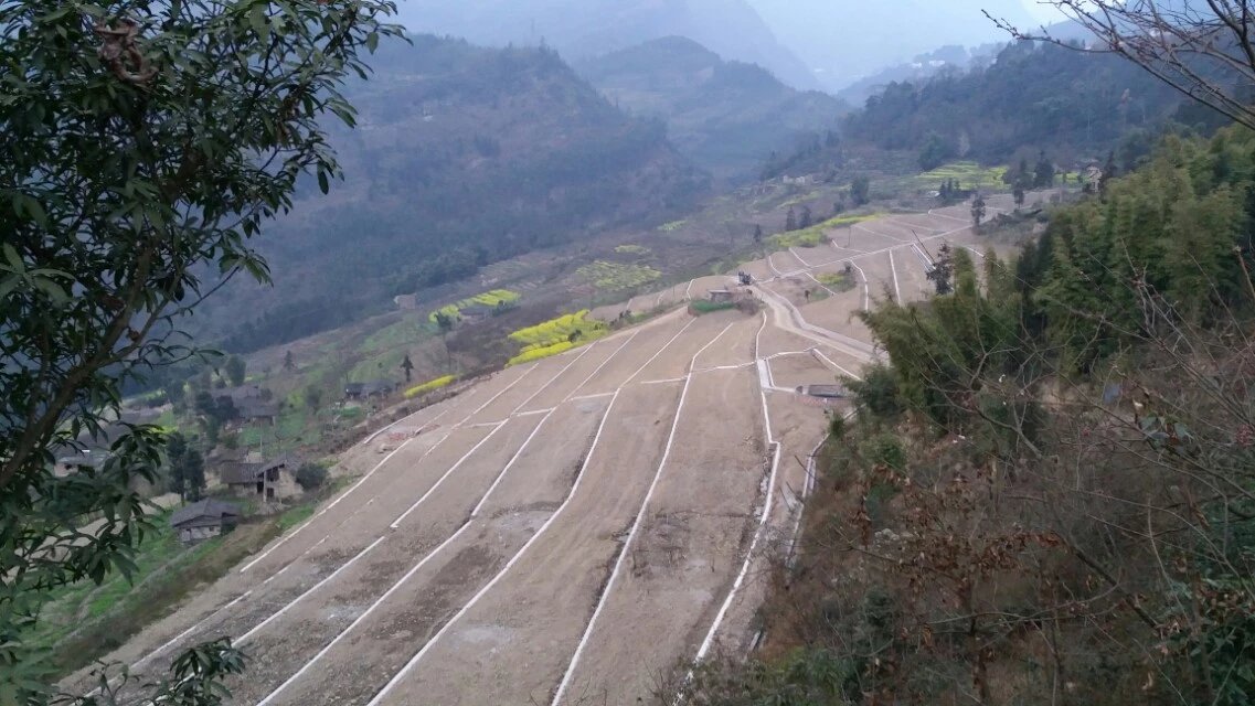 屏山縣新安鎮(zhèn)干河村和平村解吉村井壩村龍橋村石溪村新開村土地整理